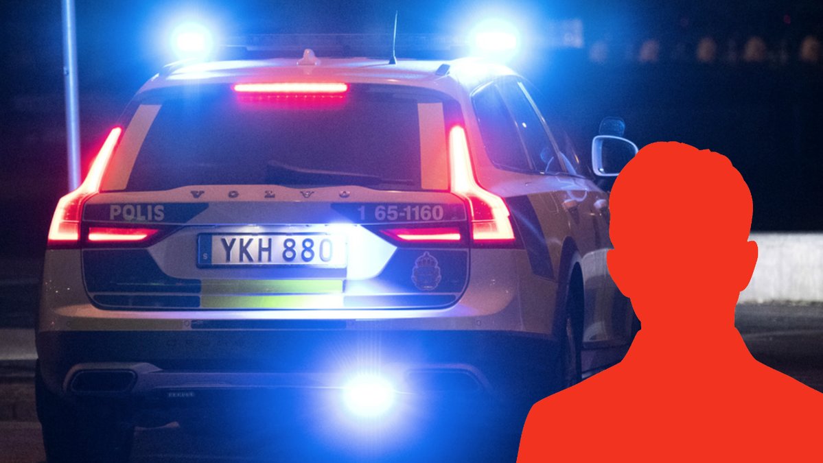 Mordmisstankt-artist-gripen