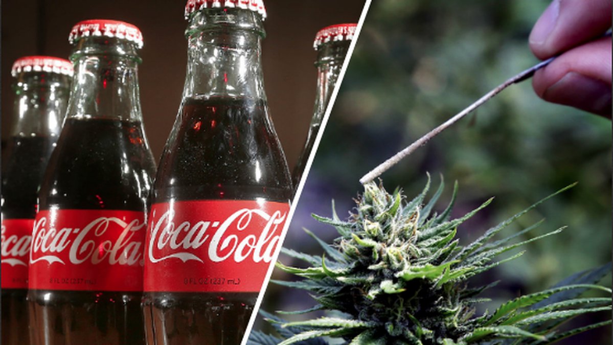 Coca-Cola flaskor och en cannabisplanta