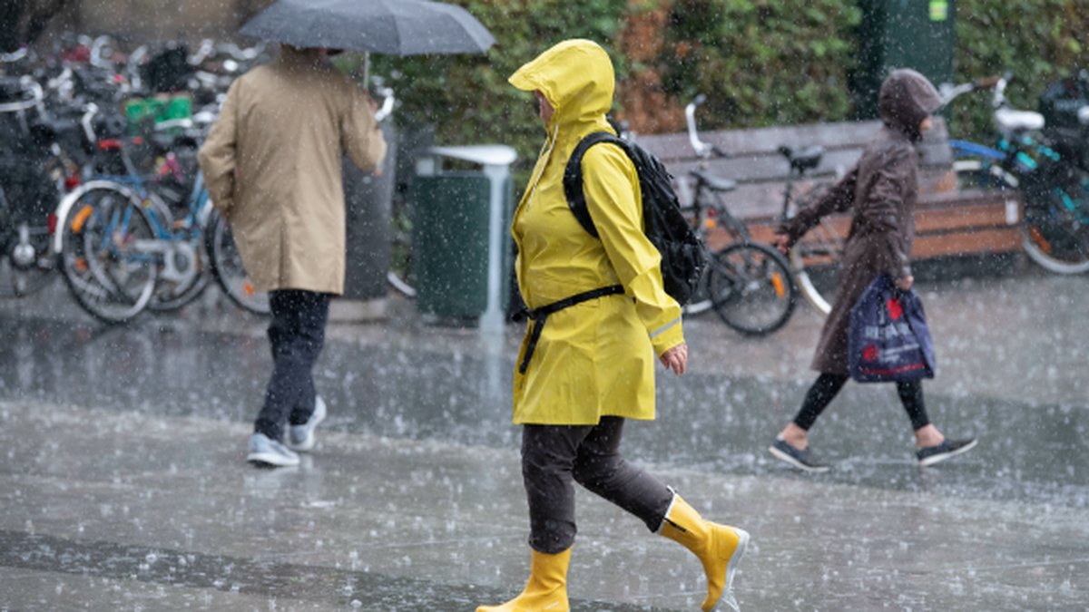 Regn