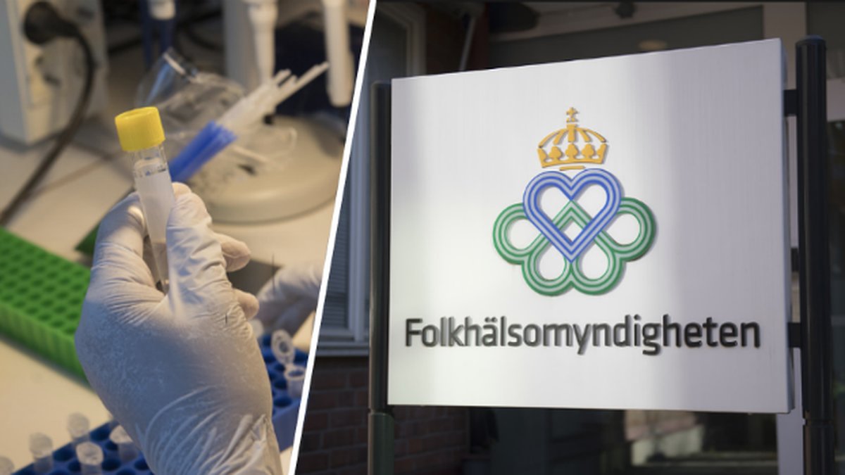 Folkhälsomyndigheten