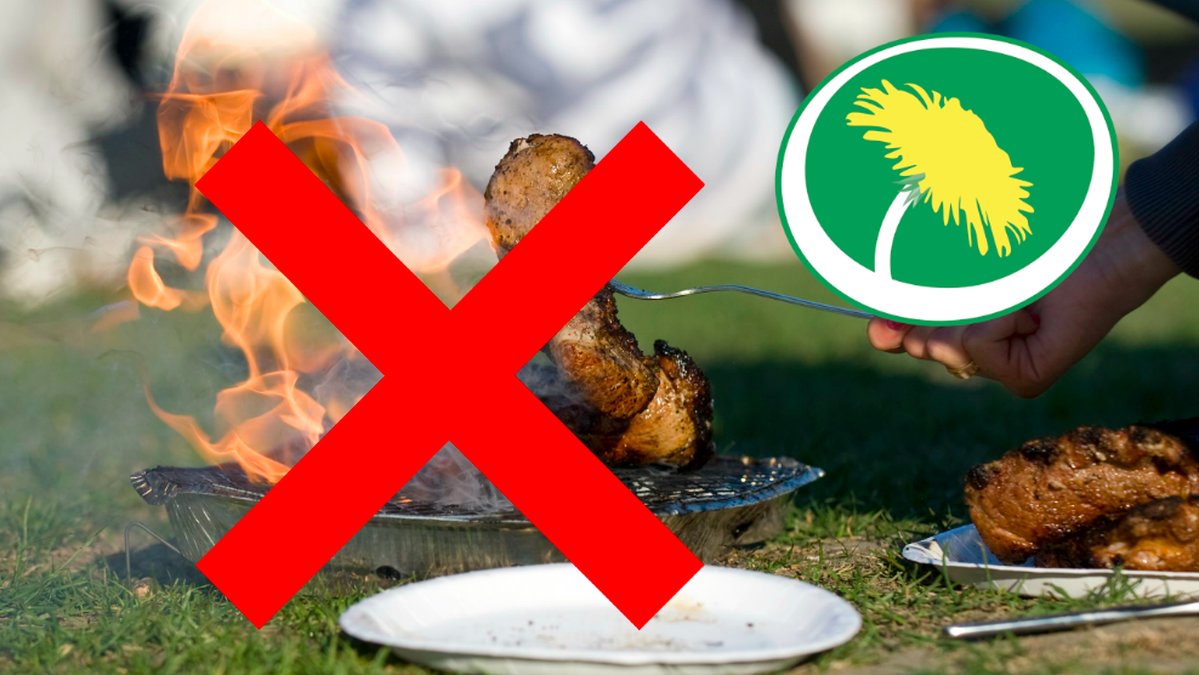 MIljöpartiet vill införa skatt på engångsgrillar. 