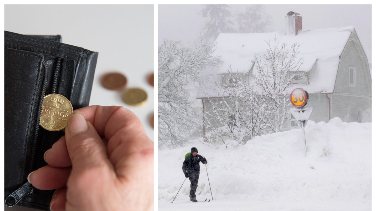 Sparekonomen Frida Bratt, verksam hos Nordnet Bank, varnar för en vargavinter.