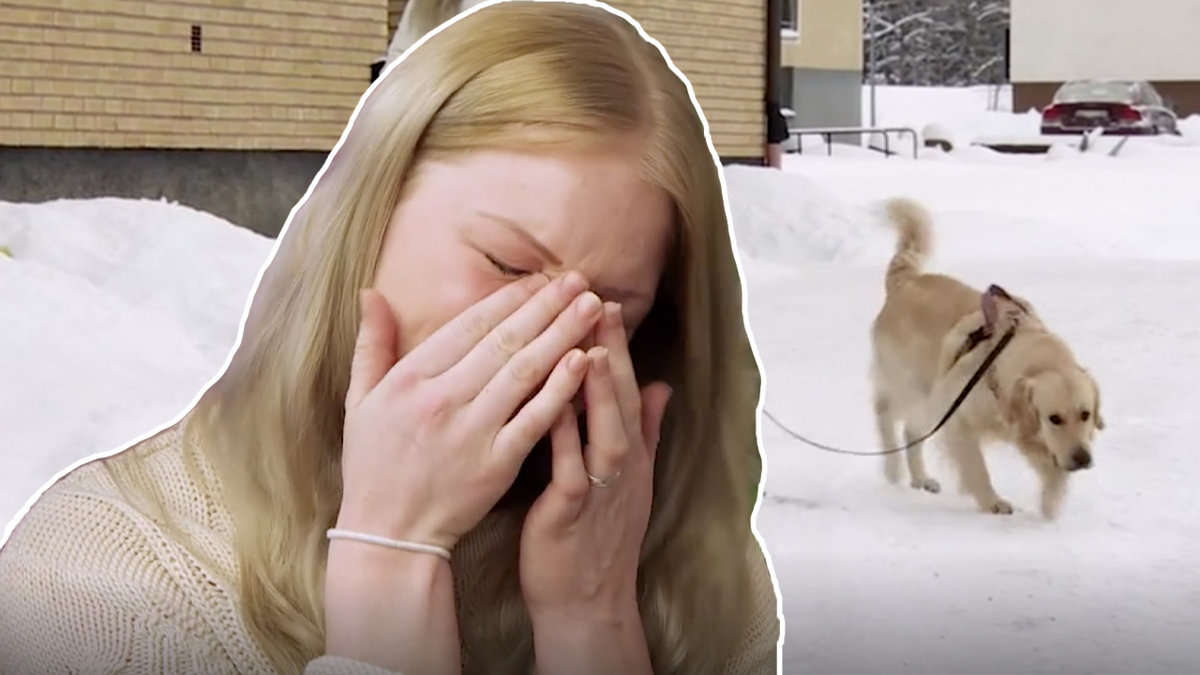 Blond tjej, hund