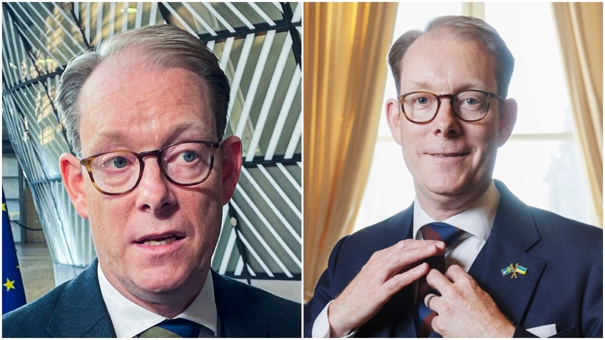 Förre utrikesministern Tobias Billström (M) har fått ett nytt jobb efter att ha lämnat sin förra toppjobb i regeringen.