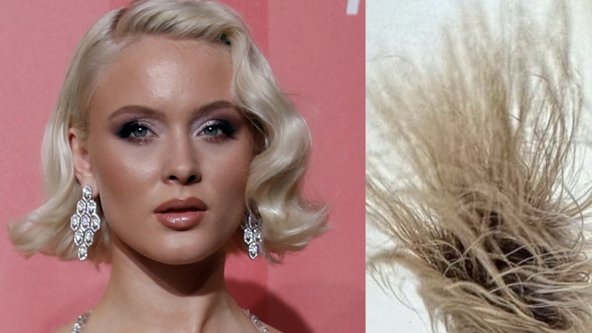 Zara Larsson 