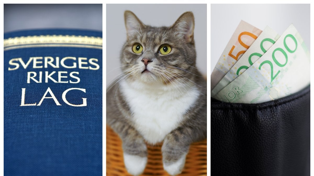 Nya kattlagen börjar gälla den 1 januari 2023.