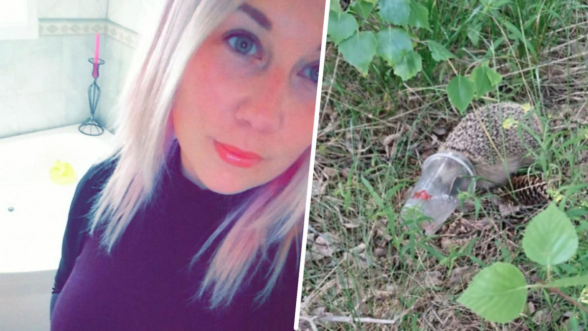 Annika och hennes två barn lyckades rädda livet på en igelkott.