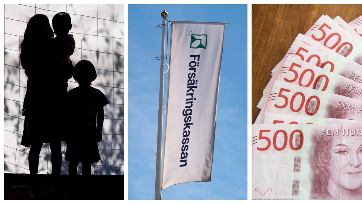 Försäkringskassan avslöjade bidragsfusk till ett värde av en miljard kronor under 2021.