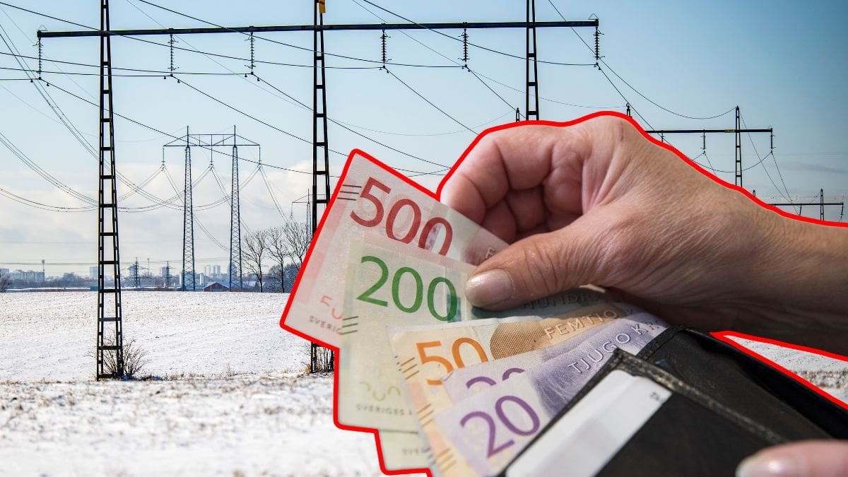 Elledningar och plånbok