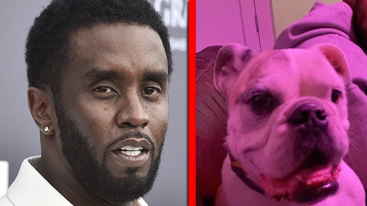 P Diddy och Kid Cudis hund