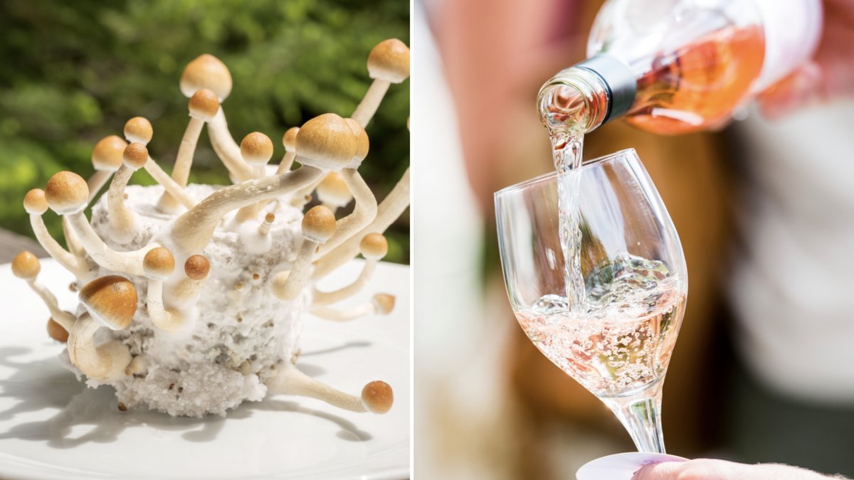 Ett ämne i magiska svampar verkar kunna dämpa alkoholsuget i kombination med psykoterapi