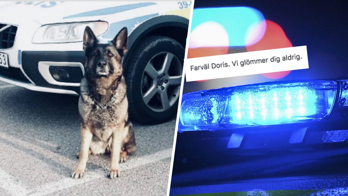 Polishunden Doris har somnat in.