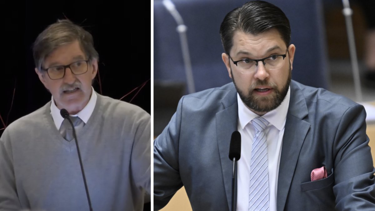 Håkan Lerstorp (SD) om varför män misshandlar kvinnor