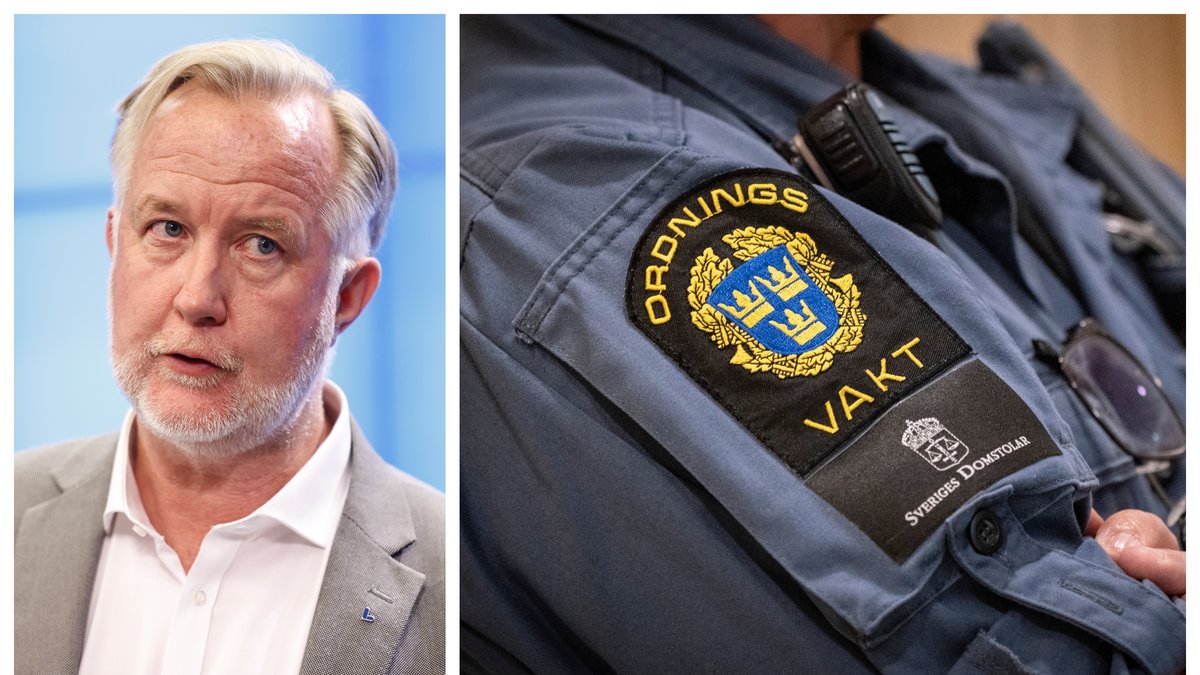 Johan Pehrson (L) har ekonomiska intressen i frågan om fler ordningsvakter.