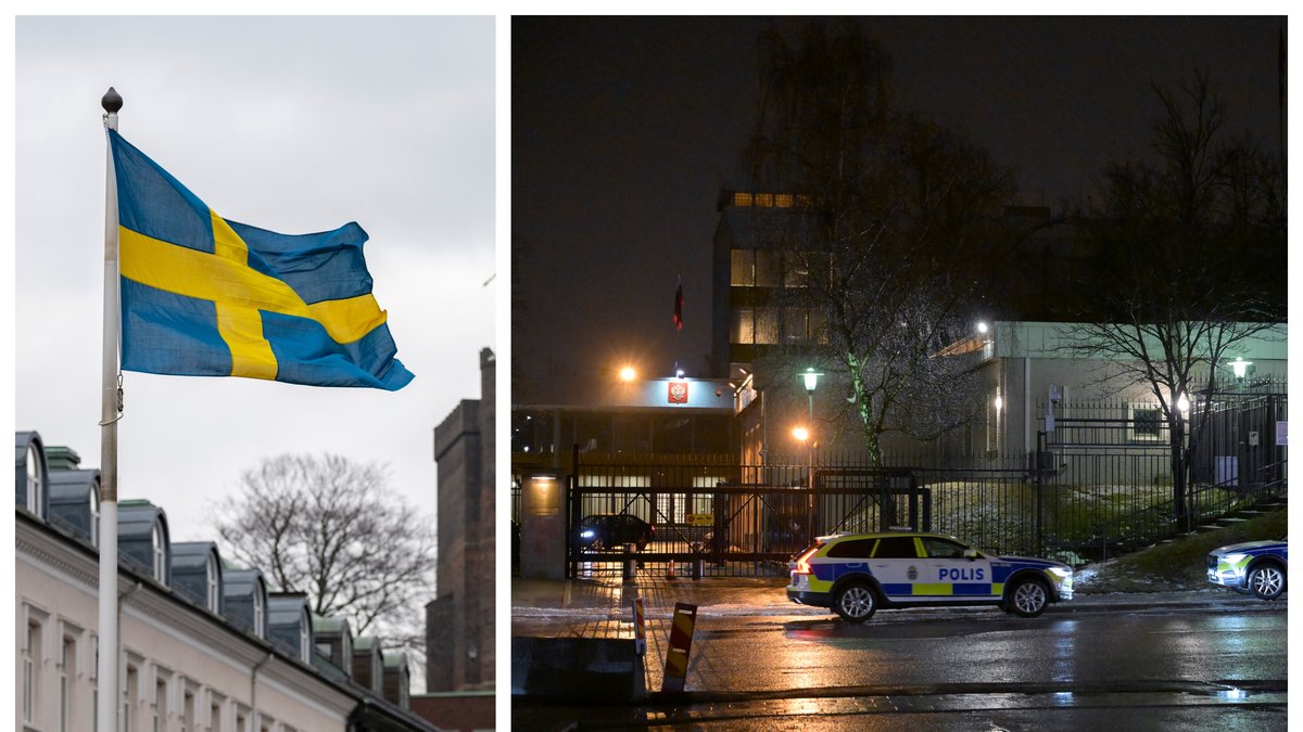 Flera partier vill utvisa ryska diplomater som ska vara spioner för Ryssland.