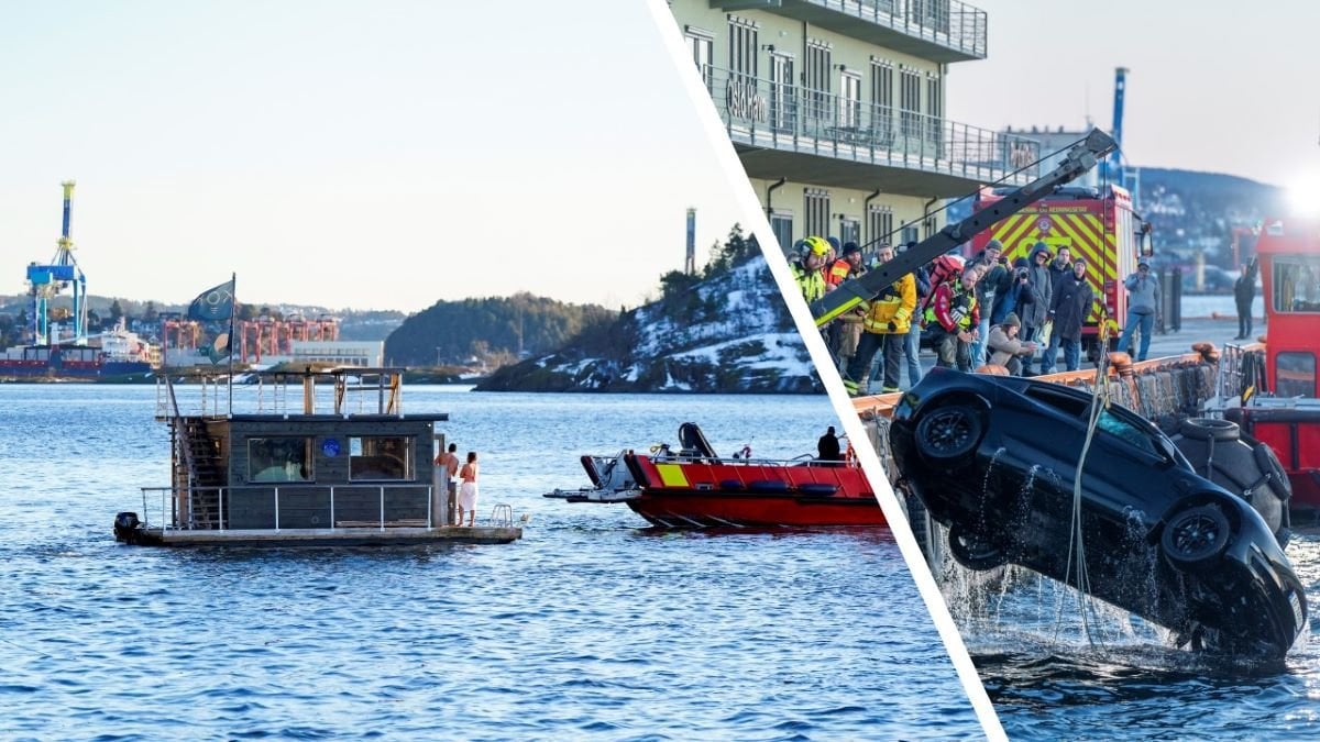 Bastuflotte och Tesla