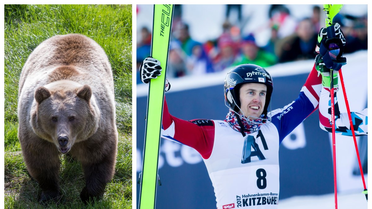 Dave Ryding har med sig ett penisben för tur under OS i Peking 2022.