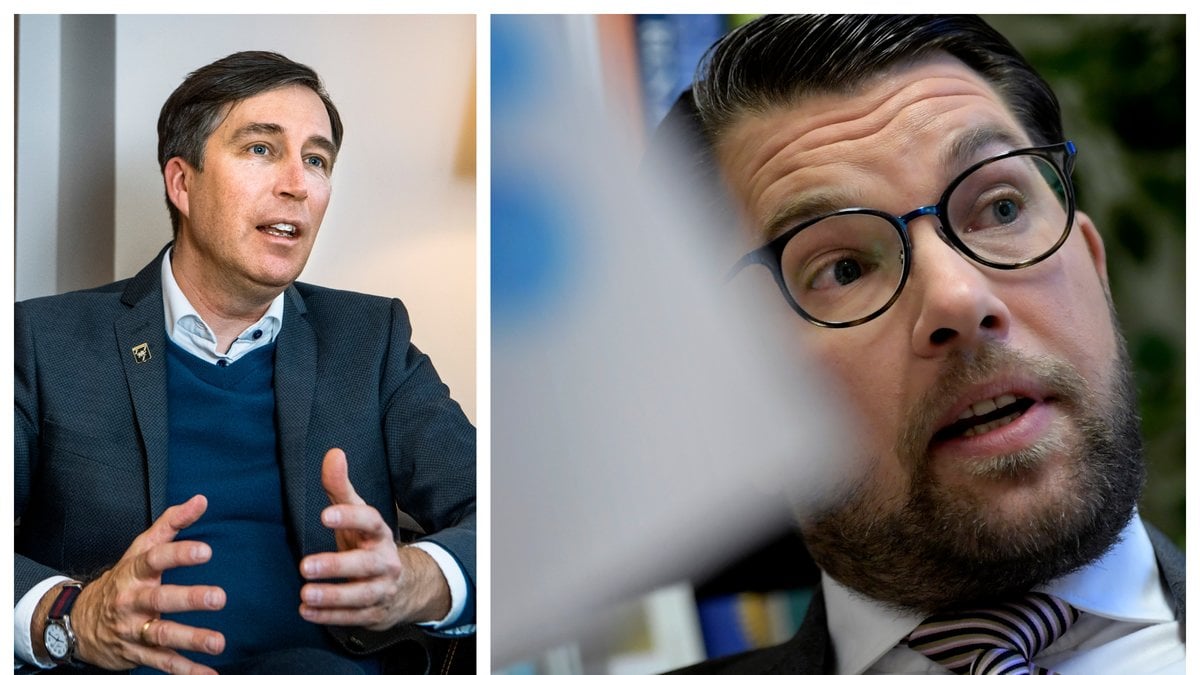 Sverigedemokraterna diskuterar fortsatt om det är bäst att sitta i regering eller ej vid ett maktskifte.