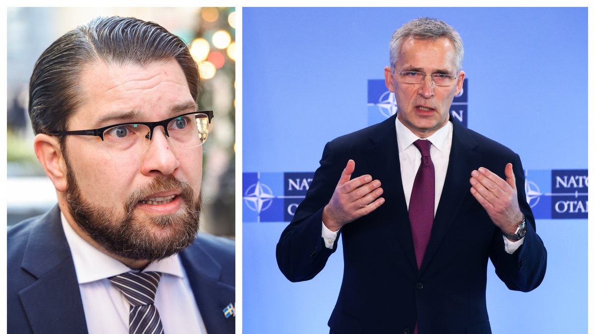 Sverigedemokraterna öppnar för Natomedlemskap.