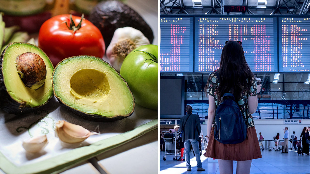 avocados, röda och gröna tomater