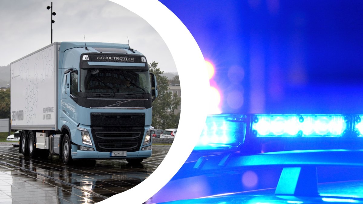 Lastbilschaufför stoppade misshandel