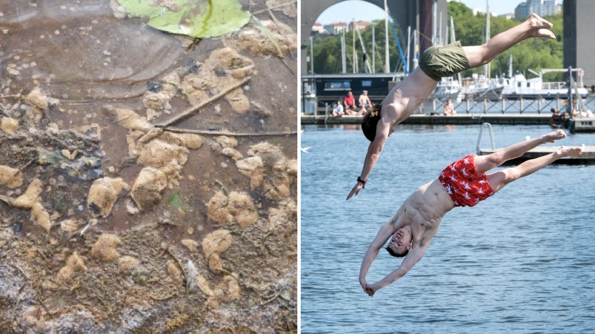 Karlstads kommun avråder från bad vid Bomstadsbaden.