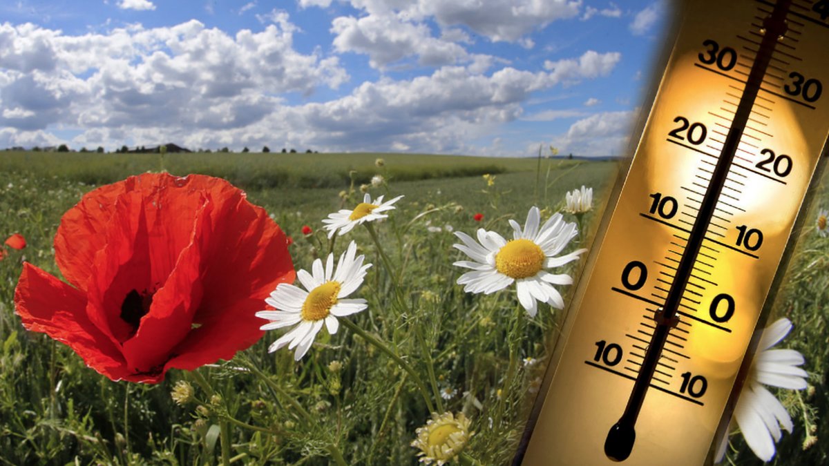 Det är anticyklonen Quinlan som ligger bakom värmen i Sverige