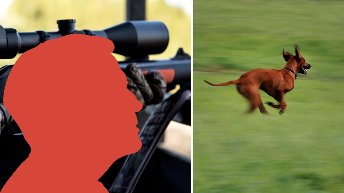 Jägaren påstår att han trodde hunden var en räv.