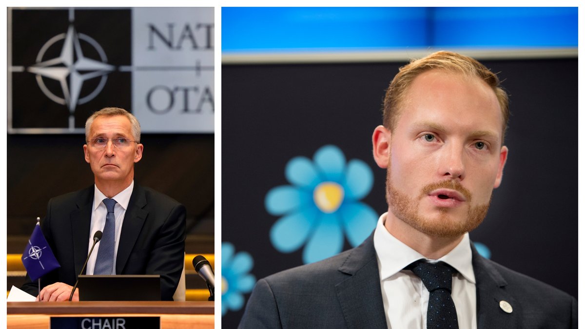 Sverigedemokraterna öppnar för ett svenskt Natomedlemskap.
