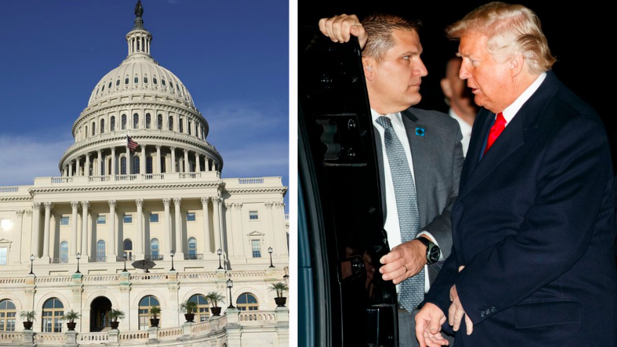 Capitol hill och Trump. Kollage