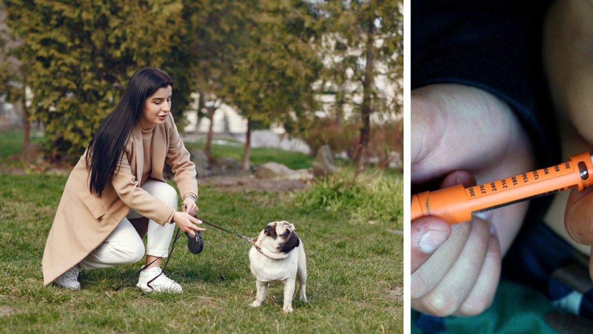 Både hundar och katter kan få diabetes.