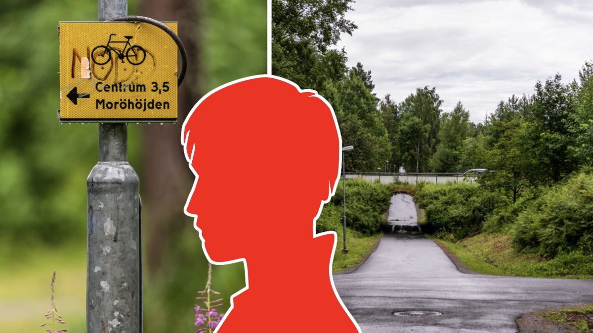 15-årig pojke överföll 9-årig flicka – döms nu till vård