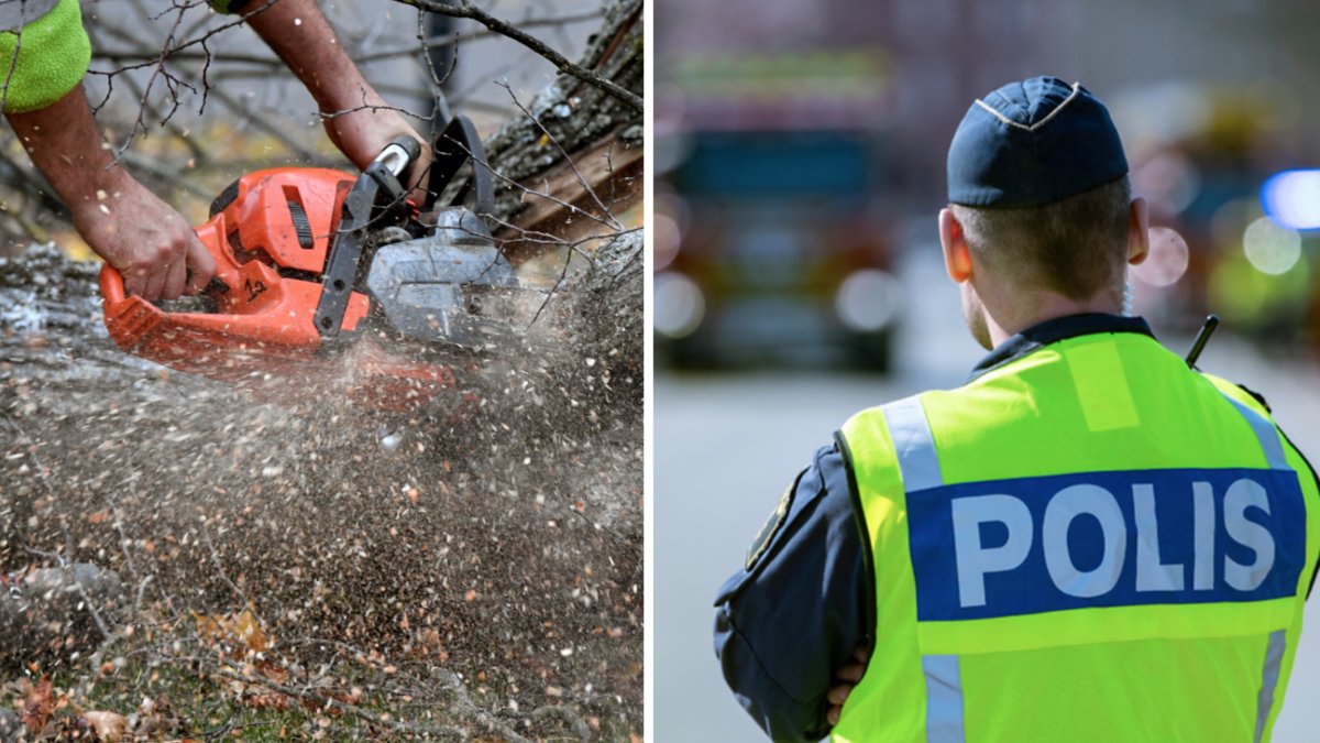 Polismannen utsatte sig själv och andra för fara när han sågade ner ett träd som blockerade vägen.