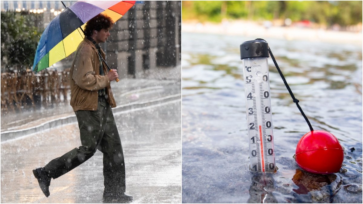 SMHI redogör var i landet den varmaste temperaturen uppmättes i sommar.