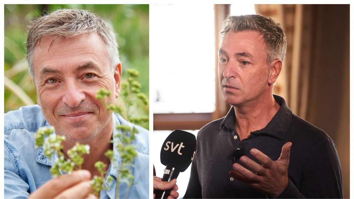 Tareq Taylor kommer inte att vara med i Stjärnorna på slottet 2023/2024.