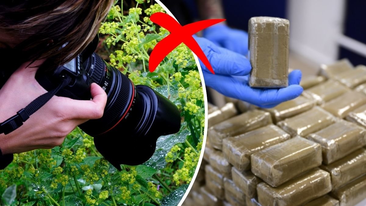 Fotograf till vänster. De beslagtagna cannabis-paketen till höger. Rött X i mitten. 