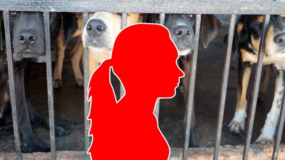 En kvinna döms för djurplågeri.