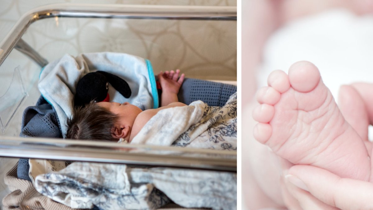 Sjuksköterska misstänks ha dödat åtta bebisar