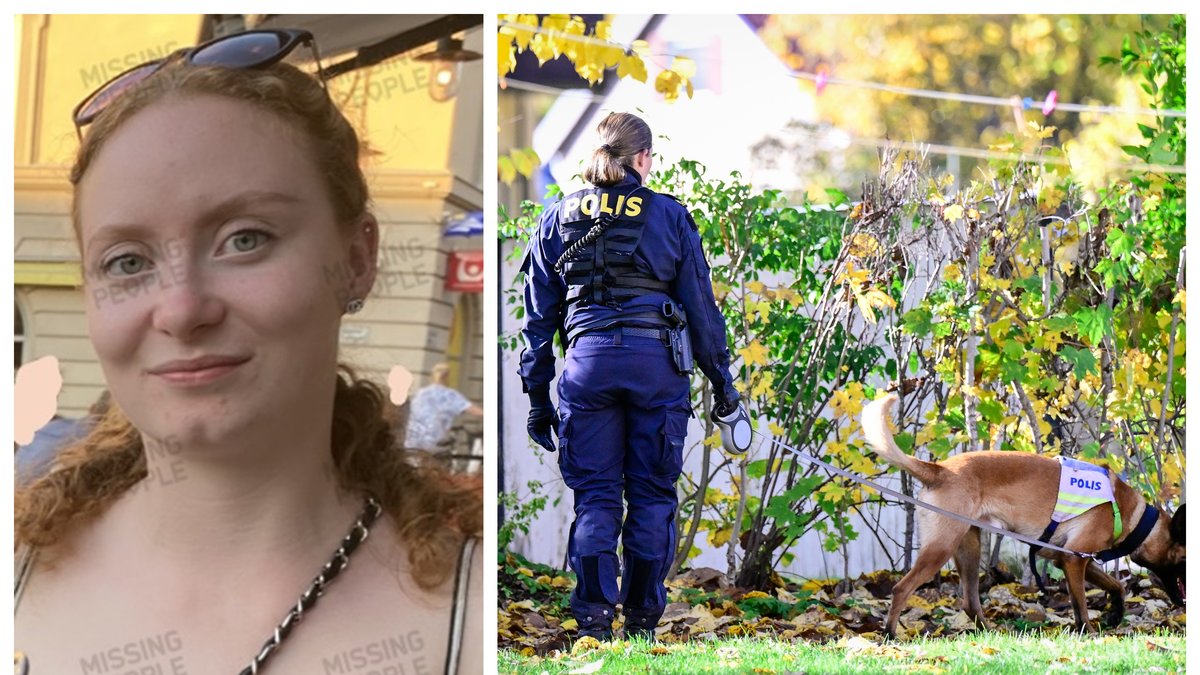 Tove, 21, försvann i Vetlanda under natten mot den 16 oktober.