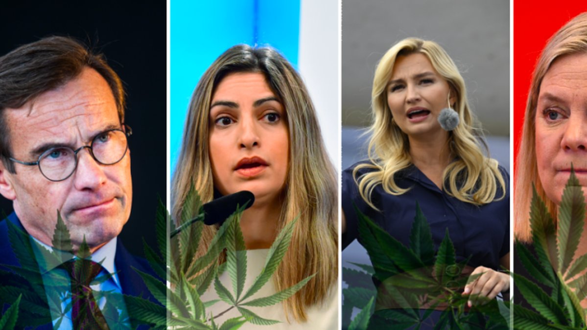 Så tycker partierna om cannabis.