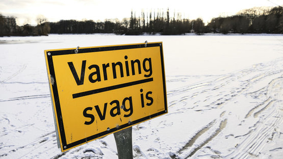Morgonens nyheter. 