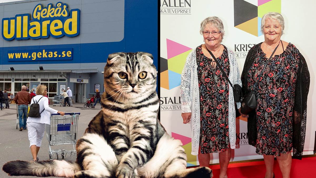 Ett varuhus, en katt som sitter, två damer står på röda mattan