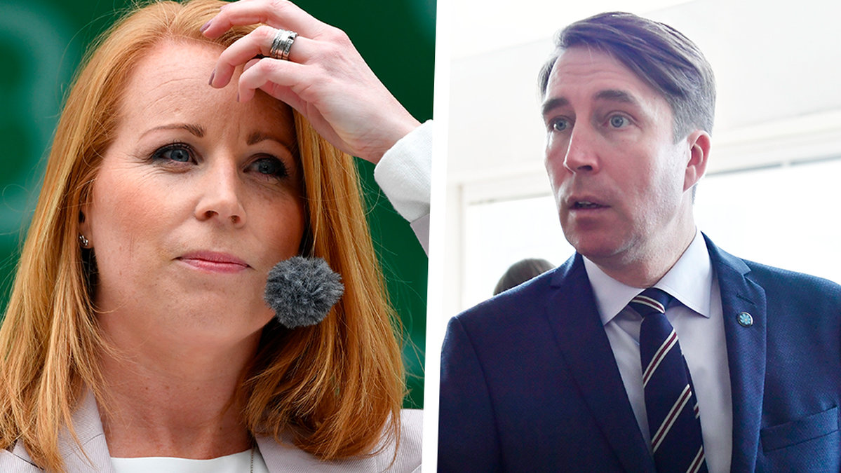Centerpartiet Sverigedemokraterna