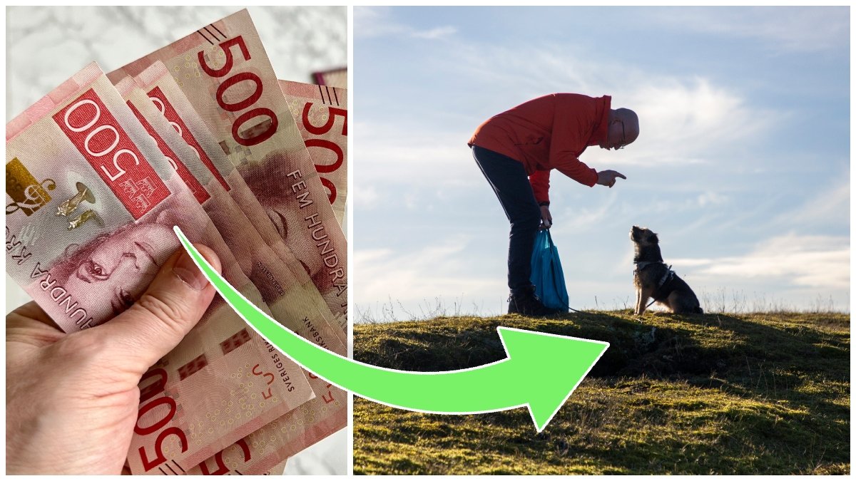 Svenska femhundralappar i en hand och en man med en hund
