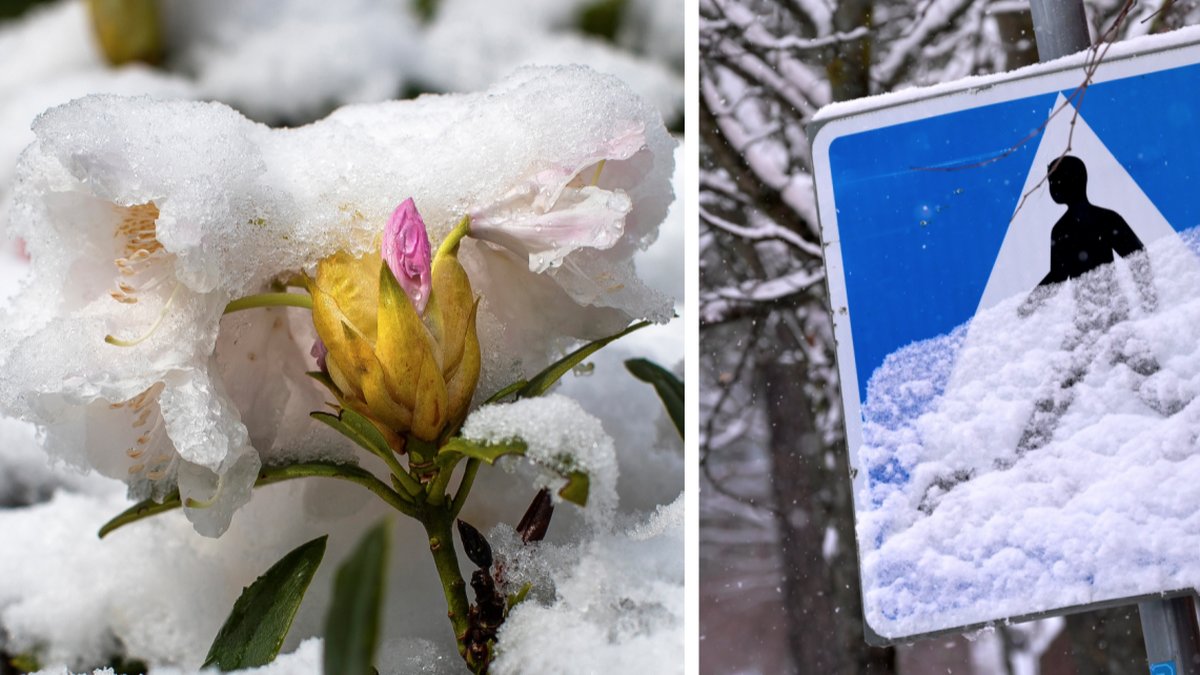 Snöoväder I norra Sverige.