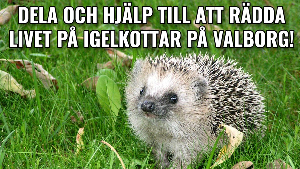 Valborgsmässoafton.