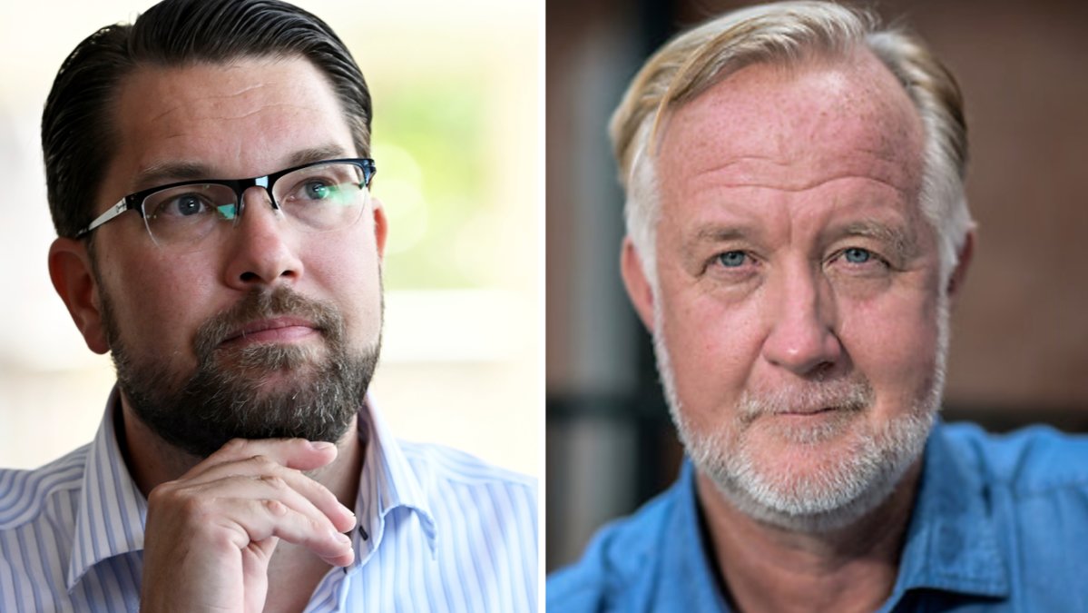 Liberalernas partiledare Johan Pehrson.