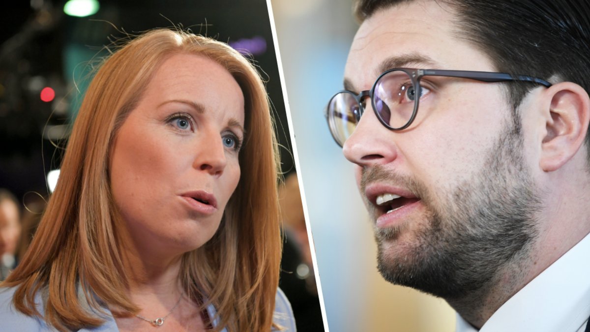 Jimmie Åkesson gick hårt mot Annie Lööf under onsdagens partiledardebatt.
