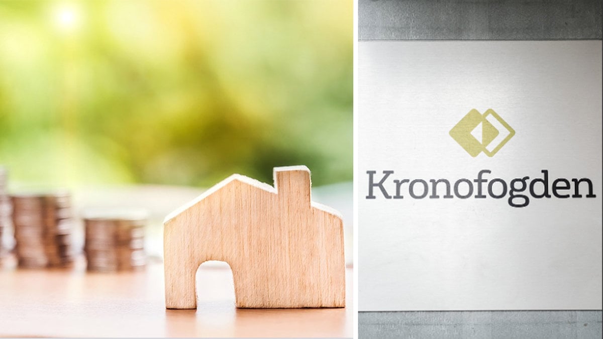 ett trähus, mynthögar, kronofogden