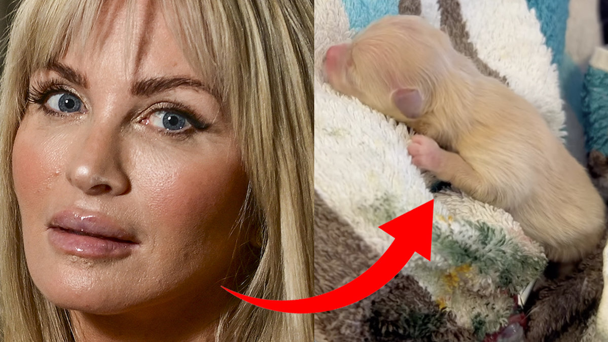Carolina Gynning och hunden Luna